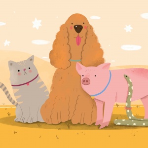 Открытки. Животные