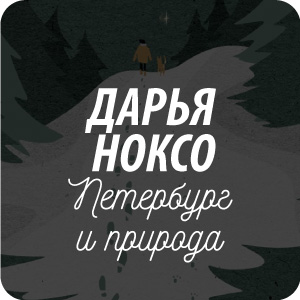 Почтовые открытки иллюстратора Даши Ноксо Почтовые открытки иллюстратора Даши Ноксо