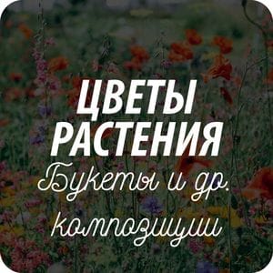 Открытки на тему «цветы, растения, ботаника» Открытки на тему «цветы, растения, ботаника»