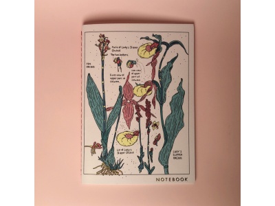 Тетрадь нелинованная «Orchid»