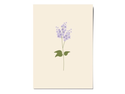 Открытка «Веточка сирени» , Вика Булкова