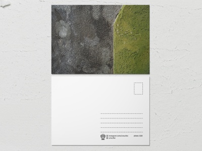 Открытка «Краски на стенах», серо зеленая стена