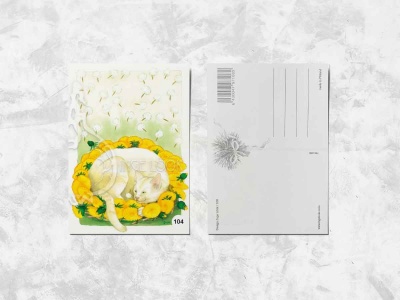 Почтовая открытка «Кот в одуванчиках»