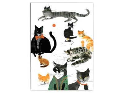 Почтовая открытка Котооткрытка