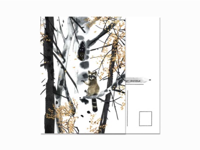 Почтовая открытка Енот на дереве