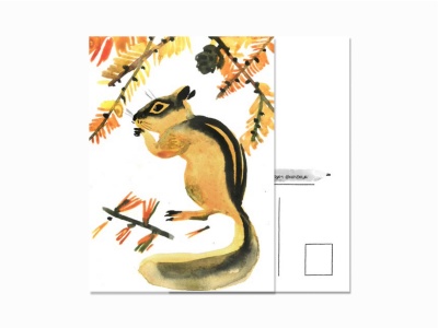 Почтовая открытка Белочка