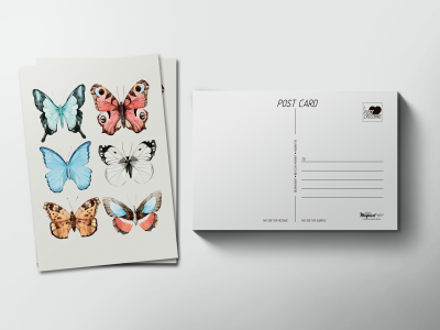 Почтовая открытка «Бабочки»