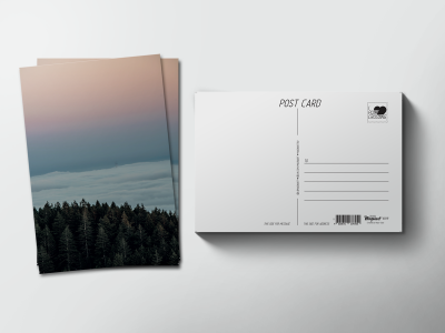 Почтовая открытка «Закат над лесом»