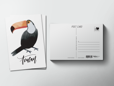 Почтовая открытка «Птица Тукан»