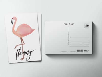 Почтовая открытка «Птица Фламинго»