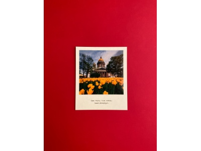 Открытка полароид «Исаакиевский собор, тюльпан» фото
