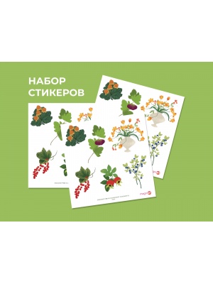 Набор наклеек (стикеров) №5 «Ботаника» 13х13см